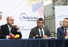 Ecuador comenzó a exportar pitahaya a China a través de 4 empresas