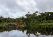 Ecuador plantea en CorteIDH defensa conciliadora con indígenas en aislamiento