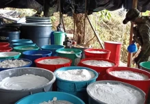 ONU: producción mundial de cocaína alcanzó un nuevo récord