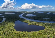 La Cruz Roja lanzó programa para combatir la crisis climática en la Amazonía