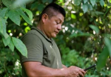 Ecuador impulsa producción sostenible de cacao y café para proteger los bosques