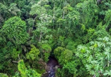 Deforestación amenaza biodiversidad del Ecuador