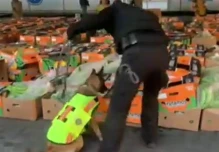 Ecuador incauta de más de una tonelada de cocaína que iba a Alemania