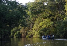 Identifican 118 especies de peces en la Amazonía ecuatoriana y alertan sobre su conservación