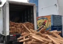 260 kilos de marihuana ocultos en furgón fueron decomisados