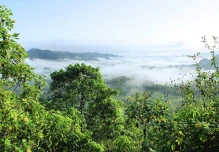 El 78 % de las áreas de explotación de petróleo en la Amazonía aún no inician producción