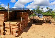Más de 623.000 hectáreas fueron deforestadas en la Amazonía de Ecuador de 2001 a 2020 