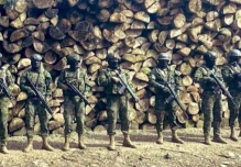 El Ejército incautó madera ilegal en Sucumbíos
