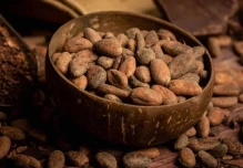 El precio del cacao sube más de 4% en la bolsa de Nueva York 