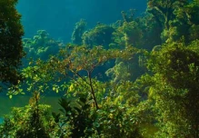 Un proyecto une a comunidades y biólogos