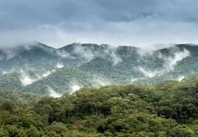 Fenómeno de El Niño podría elevar el riesgo de incendios en la Amazonía peruana