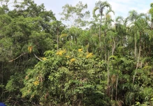 Fondo Verde para el Clima aprueba financiación para dos proyectos en Ecuador