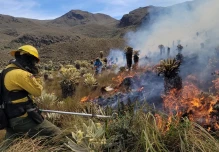 Más de 170 bomberos combaten incendio forestal en El Ángel