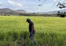 Alza del precio de la gasolina en Ecuador ya golpea al agro