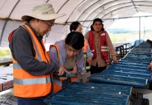 Auro Metals reporta nueva intersección de 625 metros con oro y cobre en en Zamora Chinchipe