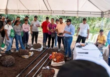 Productores de Orellana reciben capacitación técnica sobre cultivo de palma aceitera