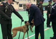 Francia donó 4 perros para el combate al narcotráfico