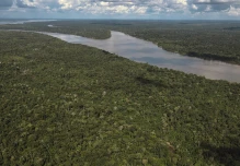 Brasil desforestó un área del tamaño de Israel en 2022