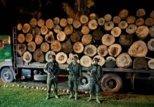 Operativos militares en Napo y Morona Santiago dejan detenidos por actividades ilegales