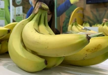Ecuador fija precio mínimo de caja de banano en $ 7,25 para 2025