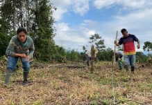 Las chakras amazónicas ganan reconocimiento como modelo agrícola sostenible
