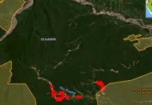 Minería ilegal provoca deforestación en el río Punino