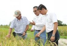 Las tres plagas que tomaron por sorpresa al Ecuador