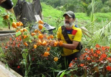 Jardín muestra la variedad de plantas ancestrales amazónicas
