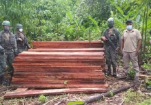 El Ejército incautó madera y armas en Sucumbíos