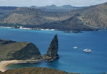Descubiertas 30 especies inéditas de invertebrados marinos en Galápagos