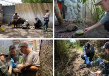 QuitoZoo intercambia experiencias con zoológico alemán
