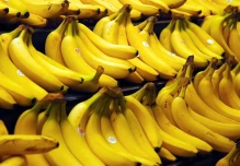 Ecuador exportó 274.39 millones de cajas de banano 