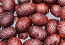 Ecuador exportó 10 toneladas de pulpa de morete a Perú 