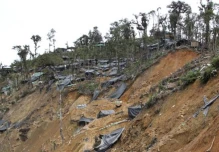 La minería ilegal devastó el bosque de Buenos Aires, en Imbabura