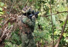 El Ejército destruyó 10.000 plantas de coca en Sucumbíos