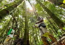 29 productores de Napo participaron en taller sobre bambú 