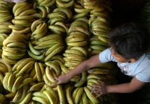 Exportadores monitorean situación comercial con Rusia