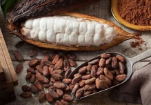 El cacao se sitúa en $ 10.930 por tonelada 