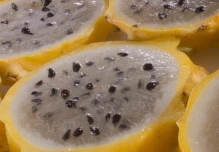 Las exportaciones de pitahaya son golpeadas por el rebrote de Covid-19 en China
