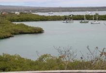 Iberoamérica se reunirá en Galápagos para analizar acciones de conservación