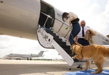 Bark Air, la primera aerolínea para perros, revoluciona los viajes