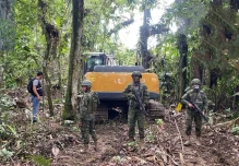 La Amazonía está amenazada por el crimen organizado