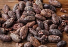 Descuentos internacionales afectan a productores ecuatorianos de cacao 