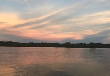 Ecuador conmemora el Día de la Amazonía 