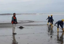 Ministerio del Ambiente no descarta acción legal por derrame en Las Palmas