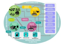 La bioenergía y su aporte en la economía circular.