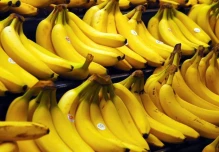 Banano: exportaciones crecieron 3,38 % hasta noviembre