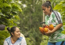 Con café y cacao, Ecuador es pionero mundial en la producción libre de deforestación