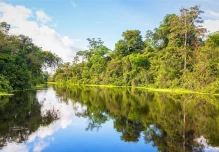 Ecuador reconoce el corredor ecológico Yasuní-Limoncocha-Cuyabeno en la Amazonía