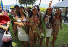 Caravana recorrerá el país para pedir fin de explotación en el Yasuní